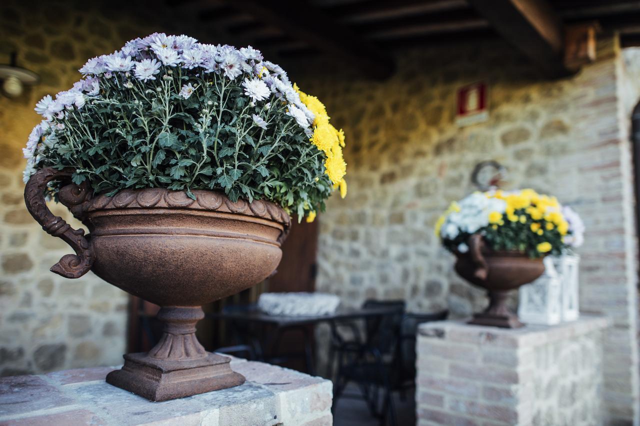 Borgo Del Faggio Appartement Montepulciano Stazione Buitenkant foto